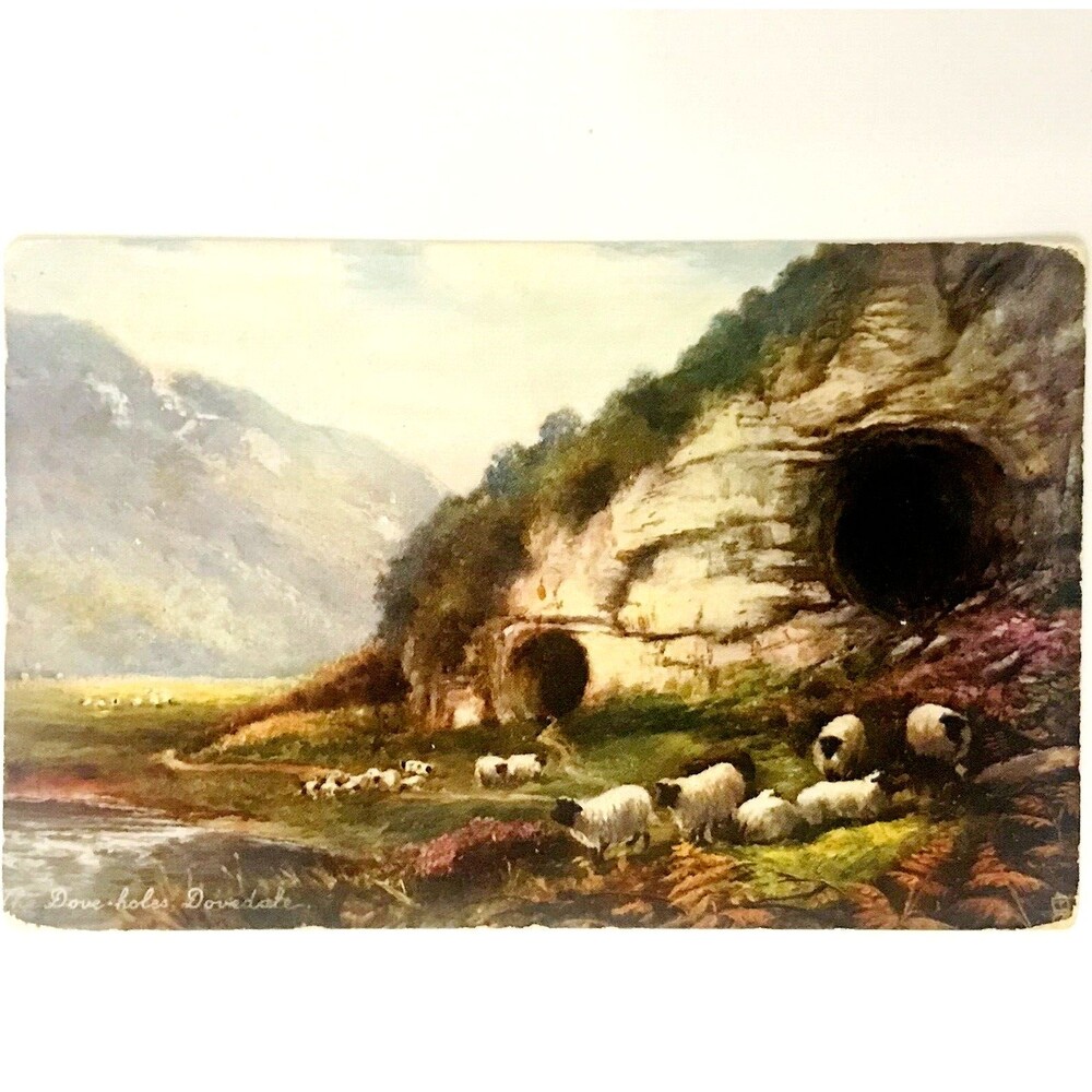Tucks Oilette Postcard Dove Holes Dovedale George V Stamp 1906 Posted Sheep Cave